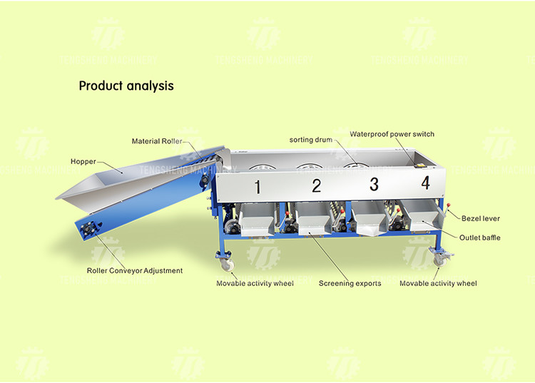 280KG Lemon screening and grading machine special stainless steel roller fruit sorting machine fruit sorting machine