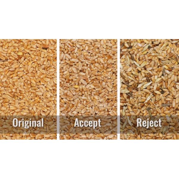 CCD 12 Channel Wheat Sorter Machine For Light Irregular Materials