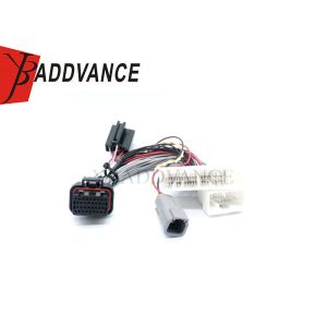 Electronic Automobile Assembly OEM ODM Standalone Max ECU Wire Harness