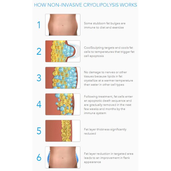 Most professional 3 technology best result body slimming face lifting Cryolipolysis machine
