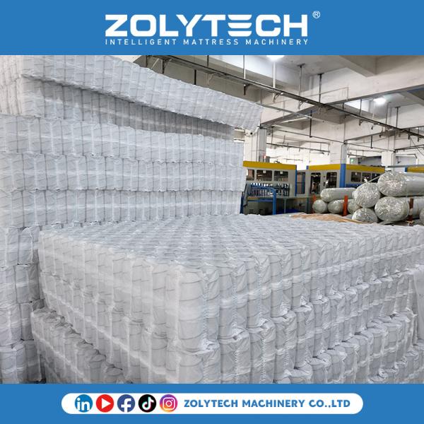 Quality Independent Spring Bed Net Mattress Core Technology Custom Size Bed Nets For Twin Beds for sale