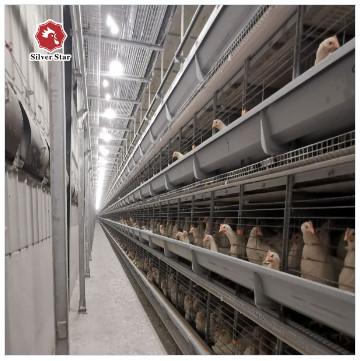 Quality H Type Battery Chicken Farming Cage Automatic Durable for sale
