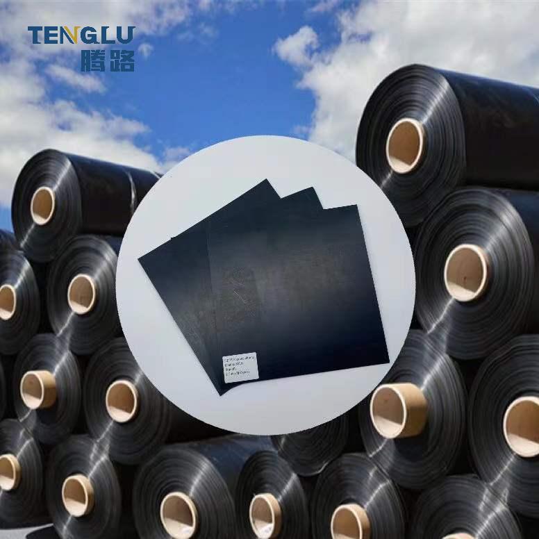 GB/ASTM GRI-GM13 Standard 1mm 2mm HDPE Geomembrane for Swimming Pool Liner in Blue Color