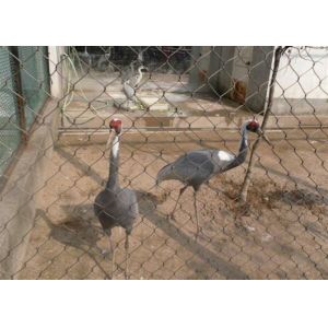 China SS Flexible Rope Aviary Wire Netting , Wire Mesh For Aviary Building wholesale