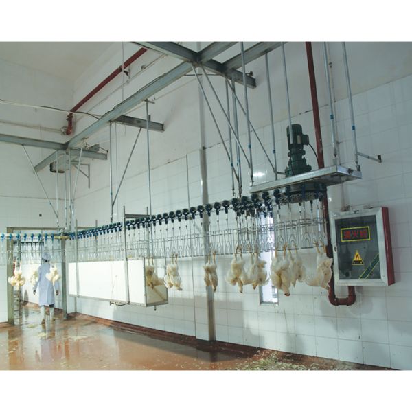 Halal Poultry Slaughter Equipment Chicken Poultry Meat Processing Machine