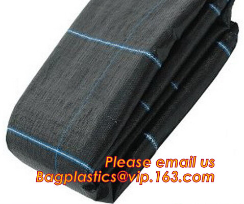 HOTICULTURAL MULCH FILM,AGRICULTURAL PE FILM,MARKET GARDENERS CLOCHE FILM,PE FILM FOR CORN,PLASTIC FILM COVER,TOMATO COV
