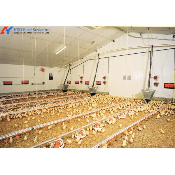 Steel Structure Plant Warehouse Poultry House Commercial Building Steel Structure