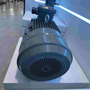 China IE3 Medium Voltage Induction Motor Low Speed ROHS Cast Iron wholesale