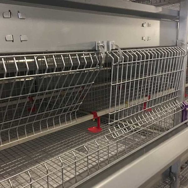 120 * 120 * 59cm H Type Battery Cages , Labor Saving Galvanized Chicken Cage