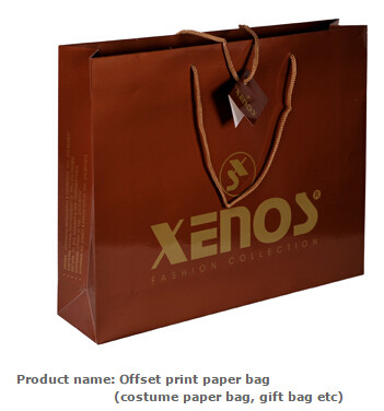 Low cost custom made design logo print handle paper carrier bag luxury paper gift bag,Luxury Paper Package Packaging Gif