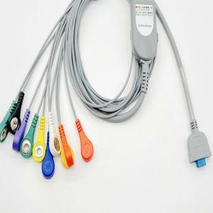 China 10 Lead ECG Holter Cable Multifunctional For Adult Pediatric wholesale