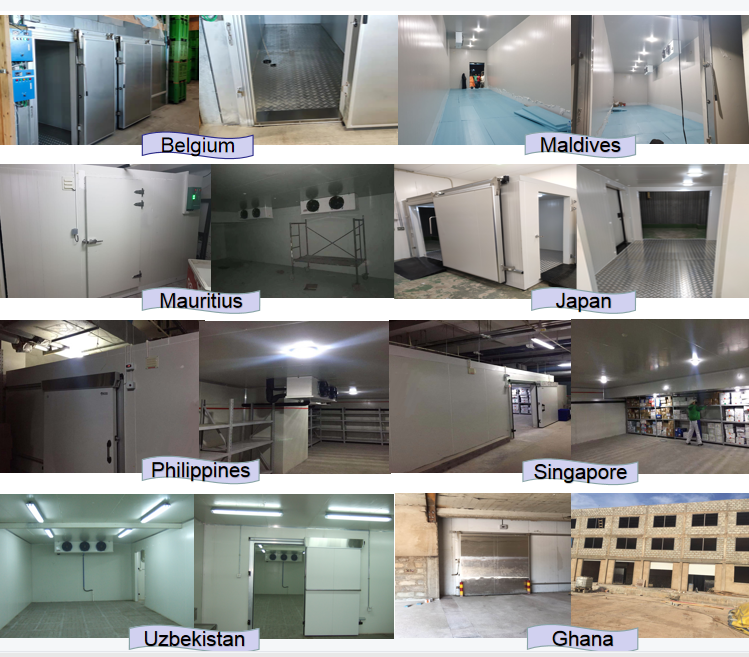 walk in freezer storage cold storage refrigeration blast freezer for fish