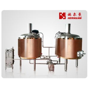 China Simple Maintenance 600L Two Vessel Brewing System Convenient Operation wholesale