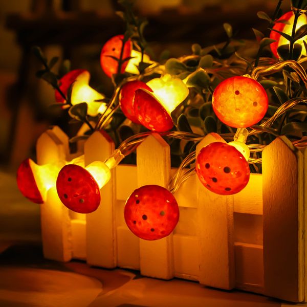 Mushroom Decor Lights Mushroom Lights String Silver Wire LED USB and Battery Powered Decorations Wedding Bedroom Thanksgiving