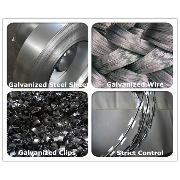 Factory Galvanized Coil Diameter 600mm BTO22 BTO30 Razor Babed Wire