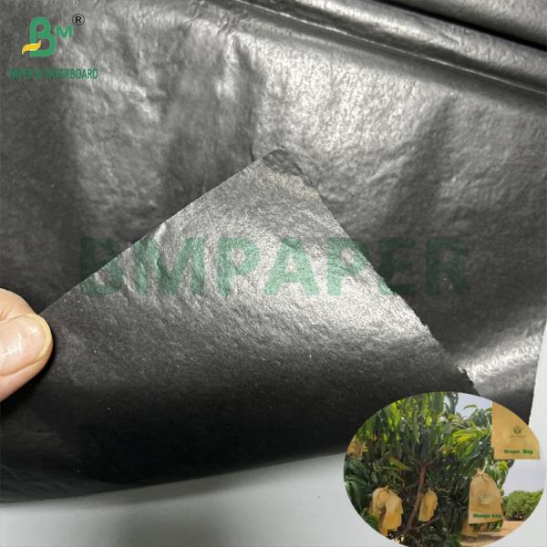 Quality Mango Growing Protection Bag Glossy 30gsm Inner Black Paper Roll Sunproof for sale