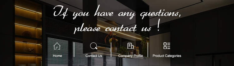 Custom Luxury Kitchen Furniture with Italian Designs Countertop Material Quartz Stone