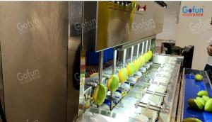 China Intelligent Mango Peeling Machine Supplier For Papaya Apple Potato Peeling Processing wholesale