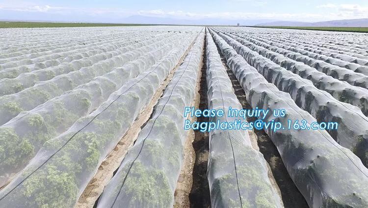 100% new HDPE insect mesh / anti bird net for apple trees,greenhouse anti insect net for plant, agriculture net Anti-ins