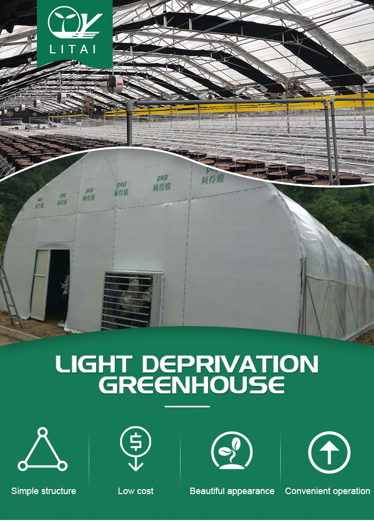 Length 30-100m Hoop House Light Deprivation Greenhouses for Mushroom Large