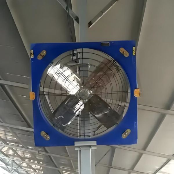 Easy Assembly Cattle Sheds Steel Structure Cow Farming Shed Weather Resistant