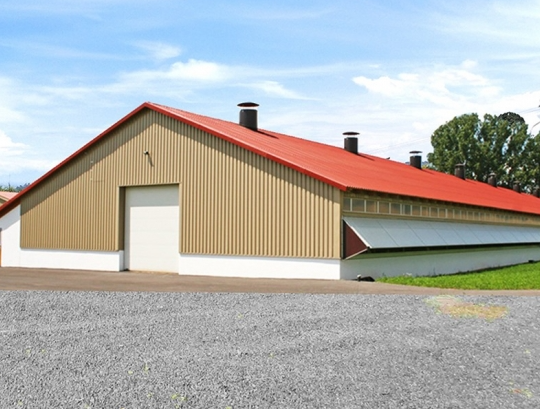 Customized Modern Steel Structure Poultry House With Sliding Door And Aluminum Window