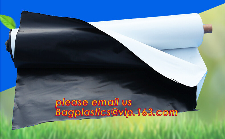 HOTICULTURAL MULCH FILM,AGRICULTURAL PE FILM,MARKET GARDENERS CLOCHE FILM,PE FILM FOR CORN,PLASTIC FILM COVER,TOMATO COV