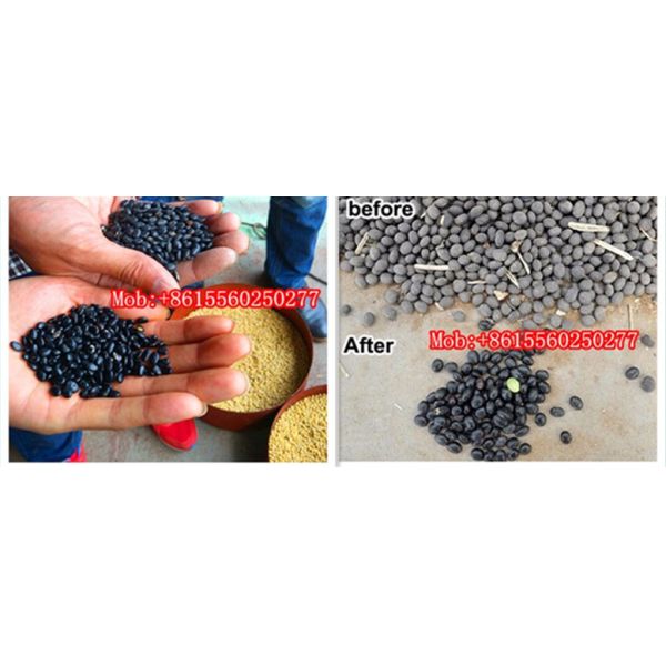 Environment-friendly dedusting black soybean polishing machine