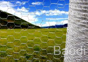 China Rolled Galvanized Iron Chicken Wire Mesh Hexagonal Shape For Highway Guardrail wholesale