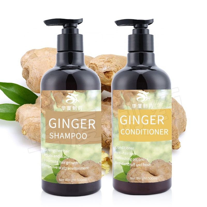China Herbal Beauty Hair Shampoo Dandruff Hair Loss Hair Growth Ginger Shampoo wholesale