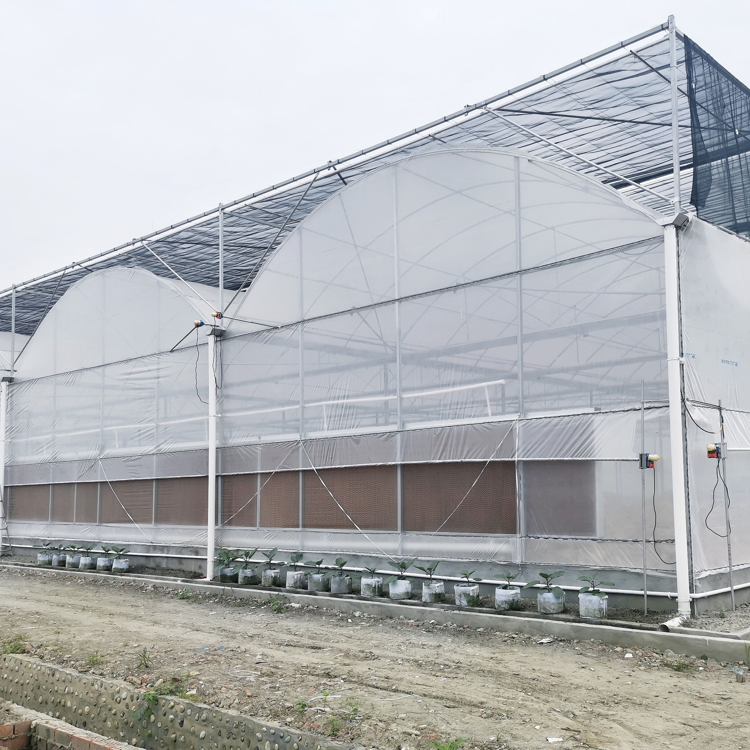 China Hydroponic Growing Systems Greenhouse Low Cost Greenhouse Agriculture Plastic Greenhouse wholesale
