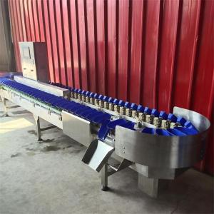 China apple grading machine, apple sorting machine, fruit grader sorter wholesale