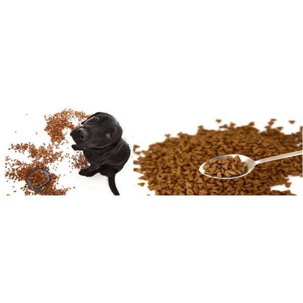 Dry Type Pet Food Processing Machinery Automatic Operation Type For Pet Food Pellet