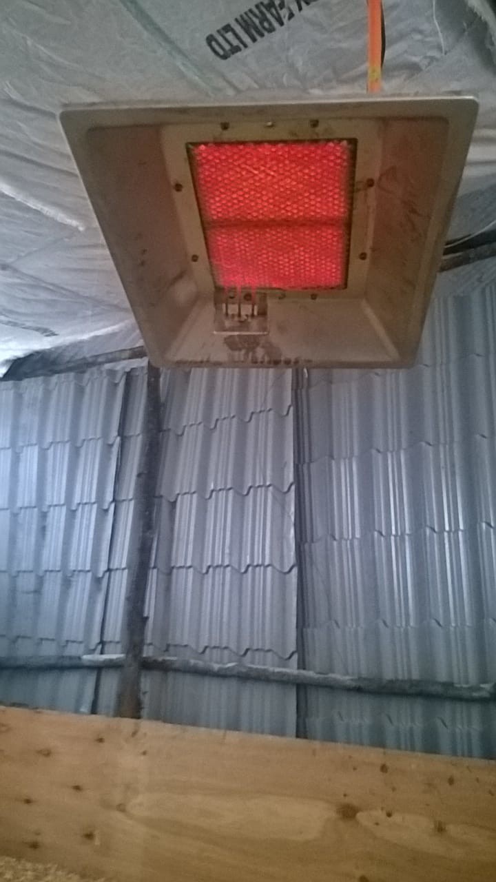 4 Model Chicken Brooder Gas Heater LPG NG Biogas Gas Brooder In Poultry