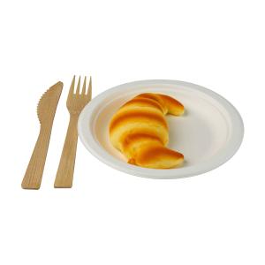 China 9inch Microwave Compostable Party Plates Sugarcane Fibre Tableware wholesale