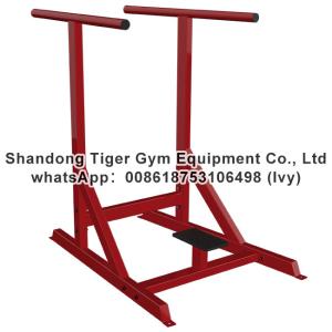 China Gym Fitness Equipment Dipping Bars wholesale