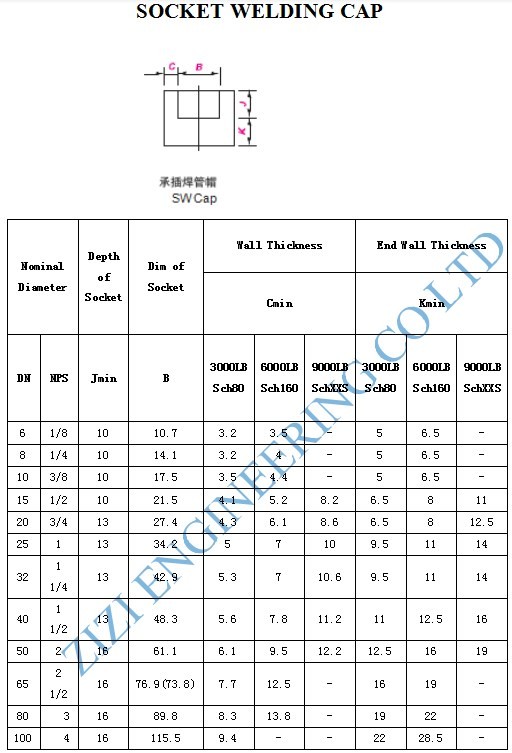 A182 F53 Socket Weld Pipe Cap Class 6000 ASME B16.11 Forged Fittings Fine Structure