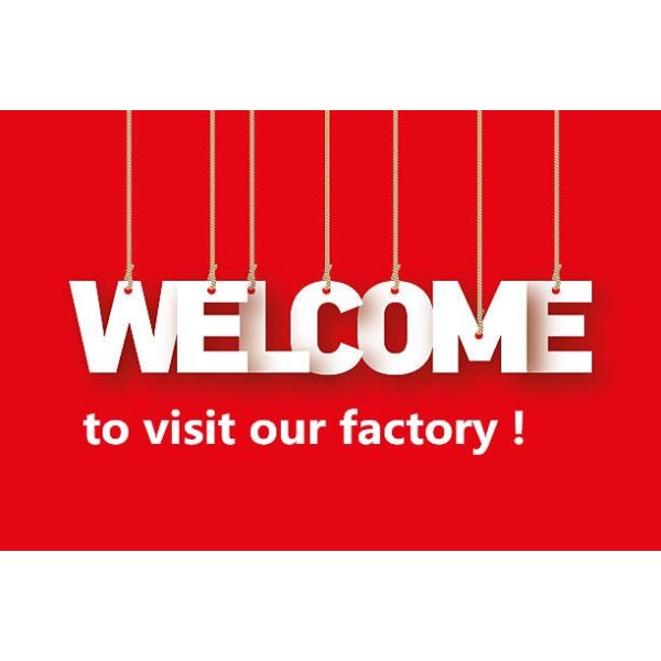 Custom Order Accepted Gold Stamping Hot Foil Drawstring Velvet Jewelry Pouch