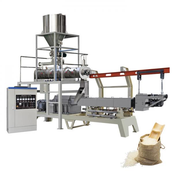 Quality 75kw Artificial Rice Processing Line 2ton/H Double Screw Extruder Machine for sale