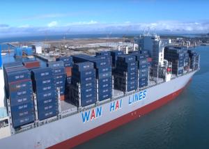 China 25-30days Global Dropshipping Business Agency FCL Sea Freight wholesale