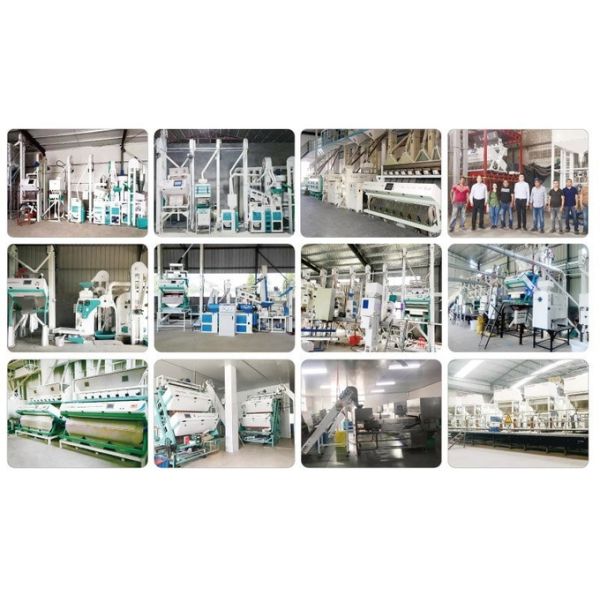 High Accuracy Mung Beans Color Sorting Machine 126 Channels