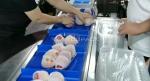 Pear Apple Weighing Fruit Combination Scale 12 Head Hand Loading Weighing