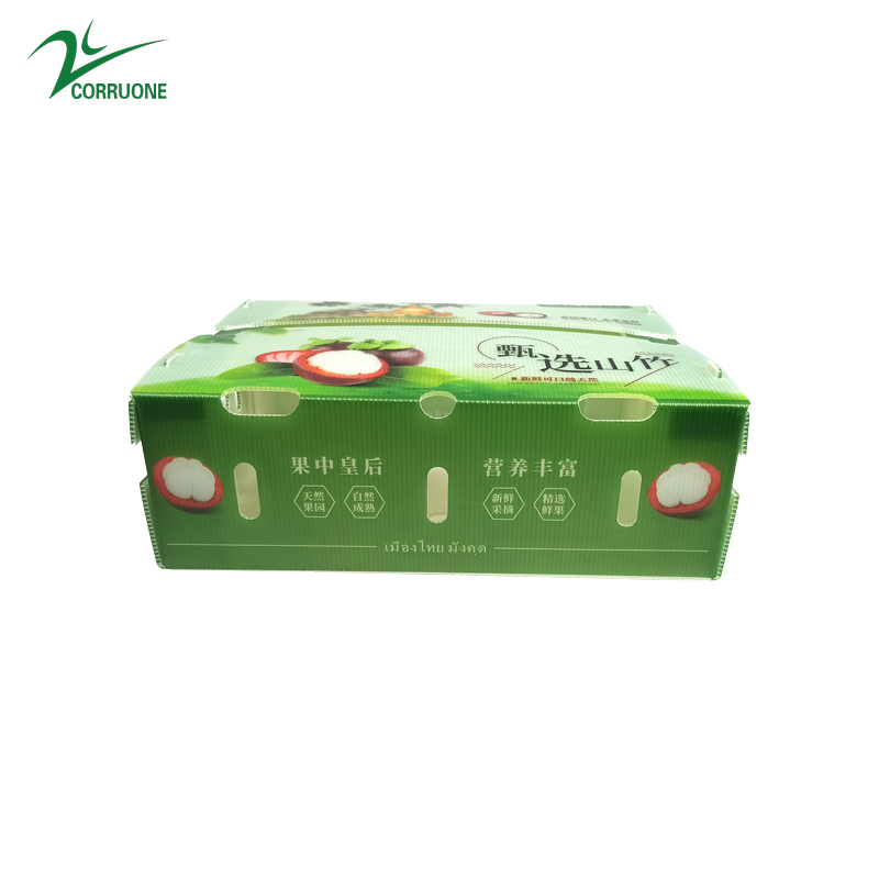 Correx Corn Vegetable Corrugated Boxes Corrugated Plastic Shipping Boxes