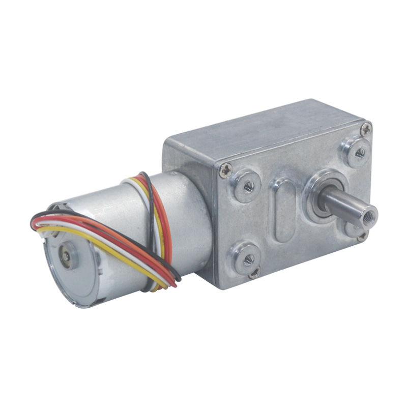 5840 31zy DC Worm Gear Motors Type D Shaft 24v Gear Motor With Encoder
