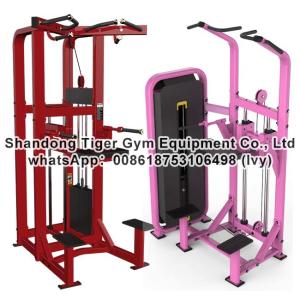 China Gym Fitness Equipment Assist Dip Chin exercise machine on sale