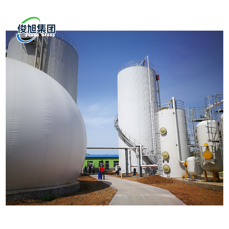 10000 kg Capacity Wet Biogas Desulfurization Equipment with Customization Flexibility