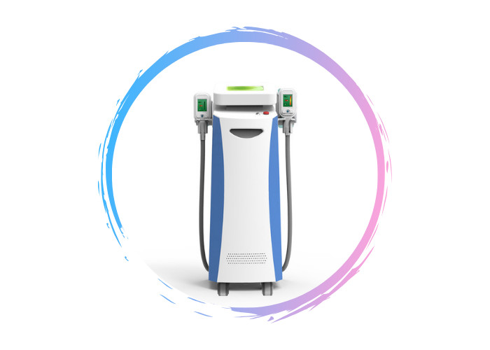 2019 professional cryo weight loss vertical cryolipolysis fat freezing machine