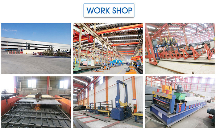 Custom Build Light Gauge Steel Frame Structure Hall Prefabricated Insulated Metal Building