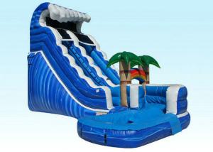 China PVC Kids Inflatable Water Slide , Blue Jungle Monster Inflatable Wave Pool Slide on sale