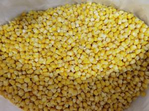 China Iqf 24 Months Frozen Sweet Corn Kernels wholesale